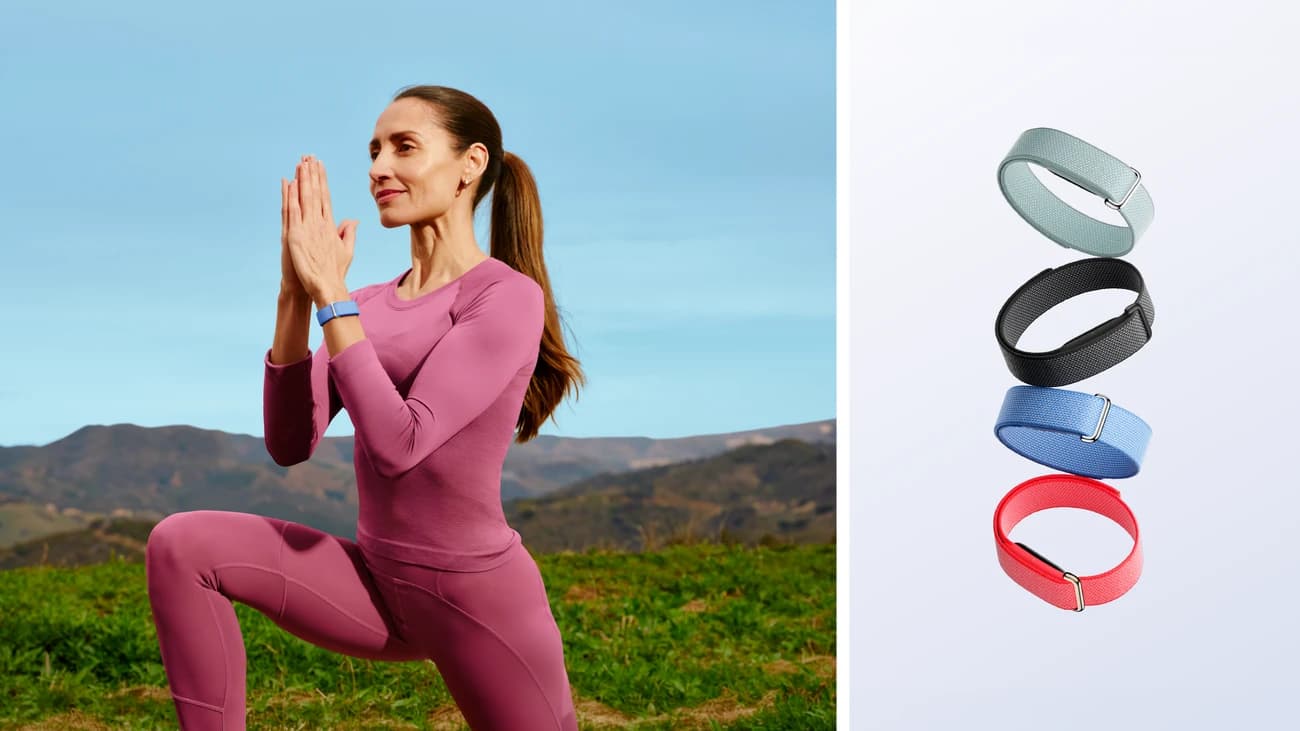 Google / Fitbit Fitbit Air — official product image 1