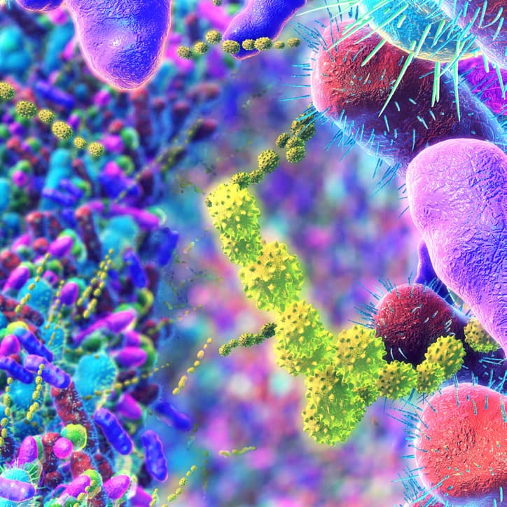 Cover image for Beyond the Hype: What Science Really Says About Your Gut Bacteria