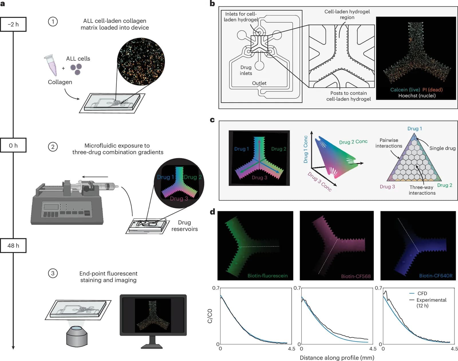Gradient-driven microfluidic framework for the screening of ratiometric drug combinations towards precision oncology in paediatric leukaemia (Nature - Biotechn...