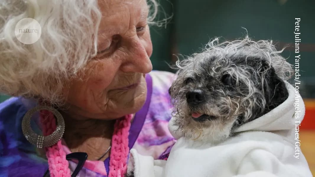 Can science make your dog live longer? Longevity craze comes to pets (Nature - Main)