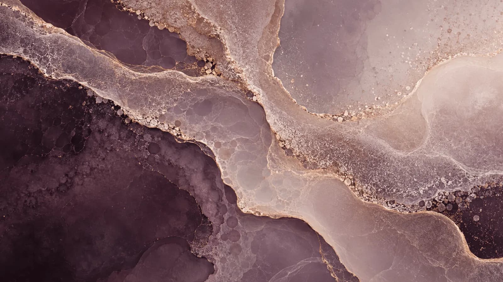 Can semaglutide slow aging? (Peter Attia Blog)