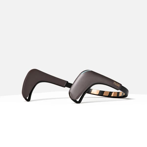 Muse Muse 2 — official product image 1