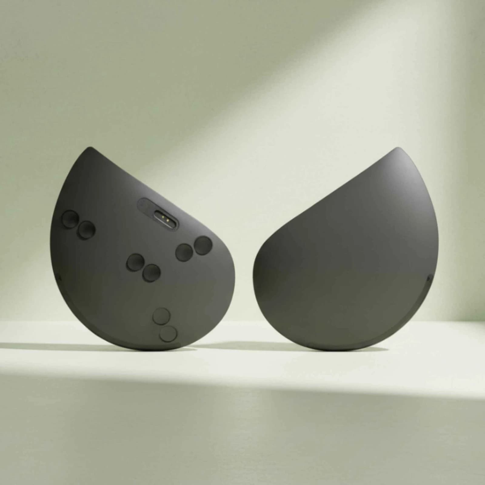 Petal Petal — official product image 1