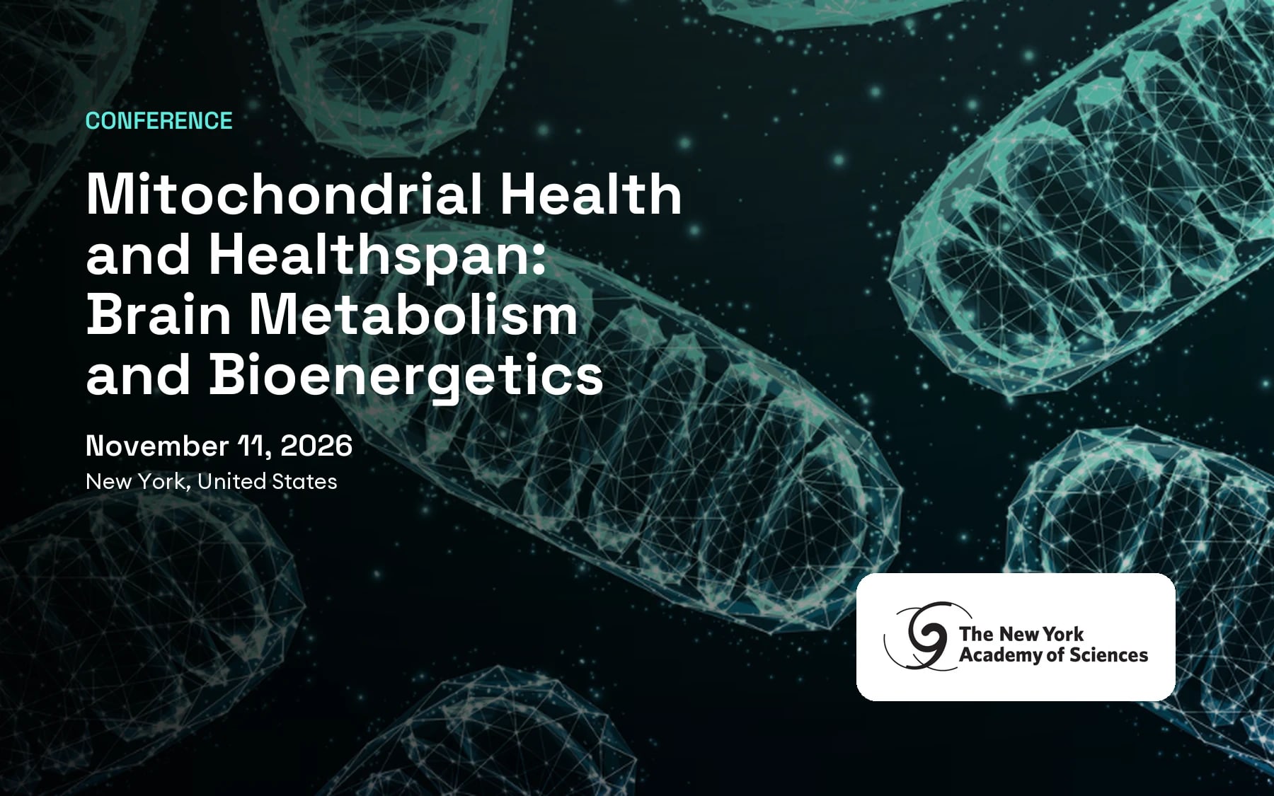 Mitochondrial Health and Healthspan: Brain Metabolism and Bioenergetics (New York, United States)