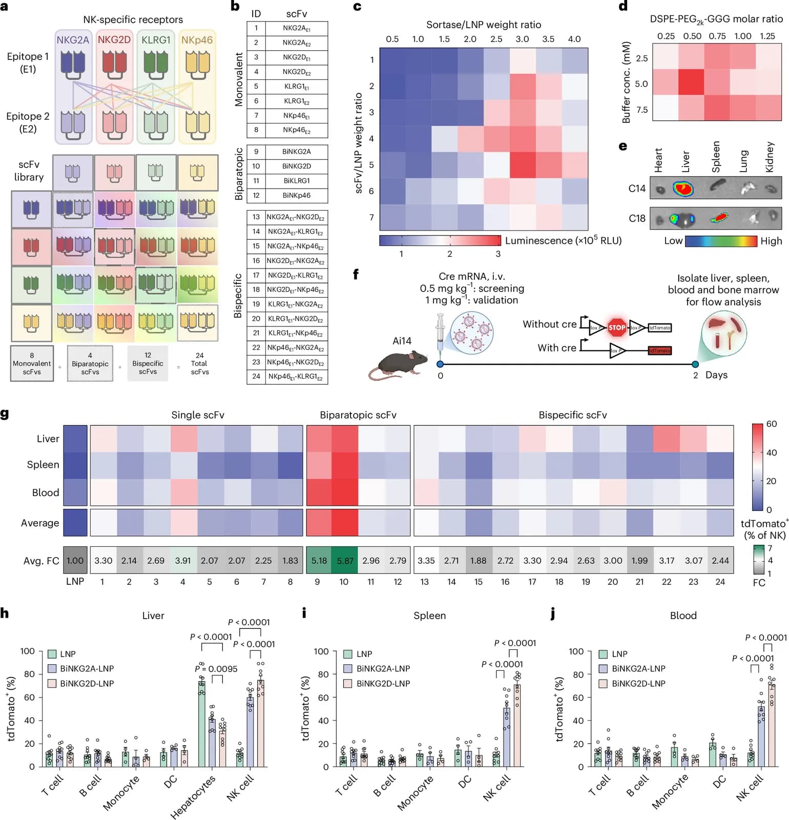 In vivo engineering of CAR natural killer cells for immunotherapy using ligand-directed lipid nanoparticles (Nature - Biotechnology)
