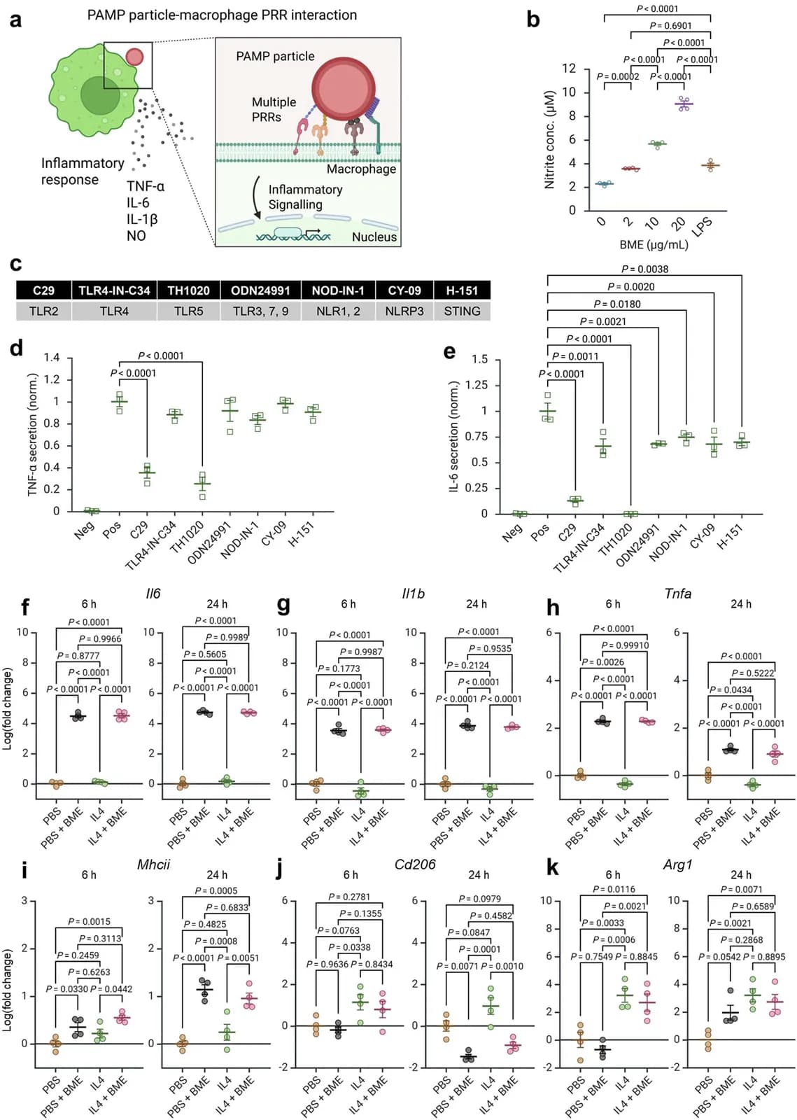 Bacteria-mimicking cancer cells reprogram macrophages via multiple pattern recognition receptor pathways for cancer immunotherapy (Nature - Biotechnology)