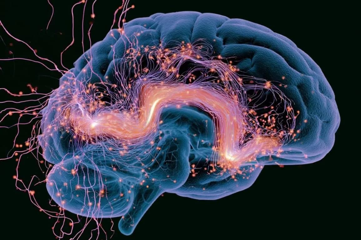 Hypothalamic Histamine Waves Open and Close Memory Access (Neuroscience News)