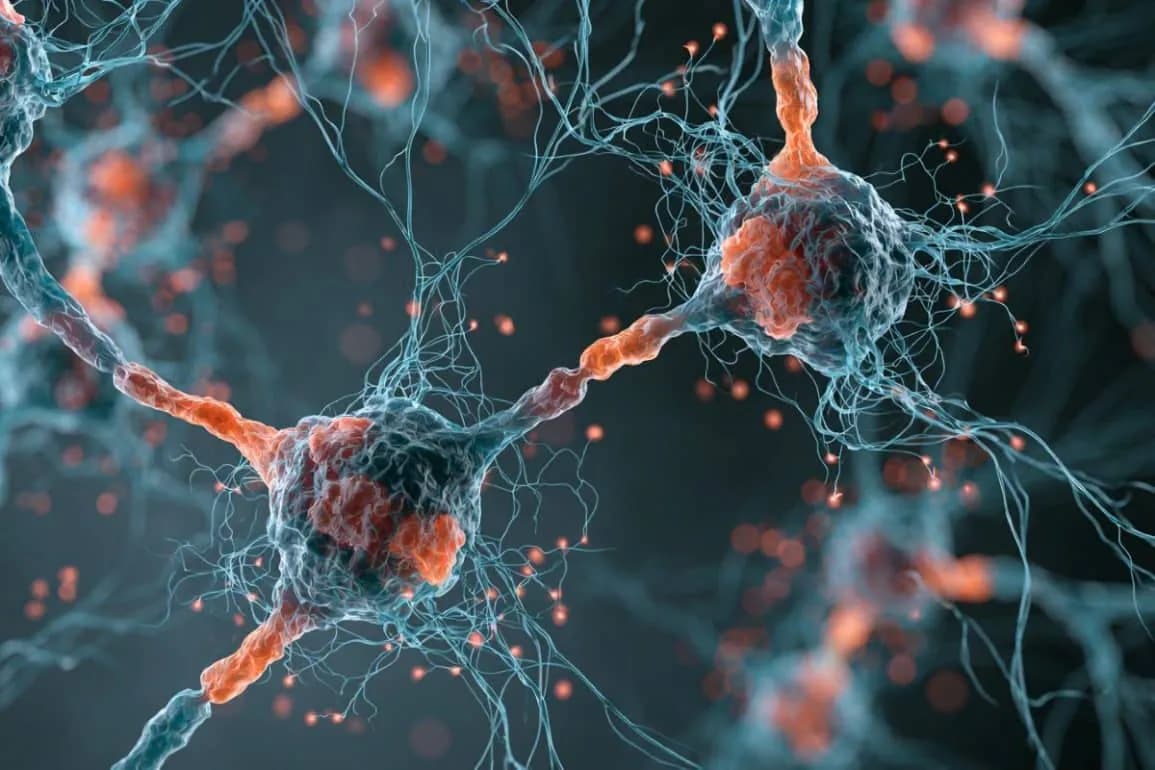 ECT Reprograms Adult Neurons into a Youthful State (Neuroscience News)