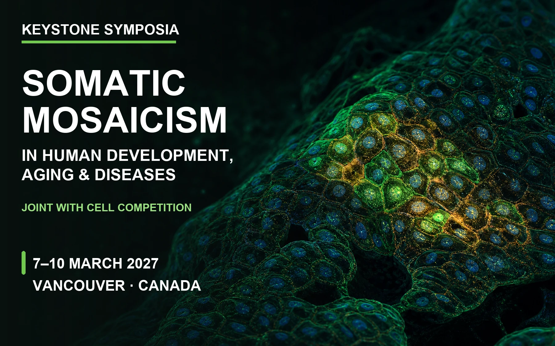 Somatic Mosaicism in Human Development, Aging, and Diseases