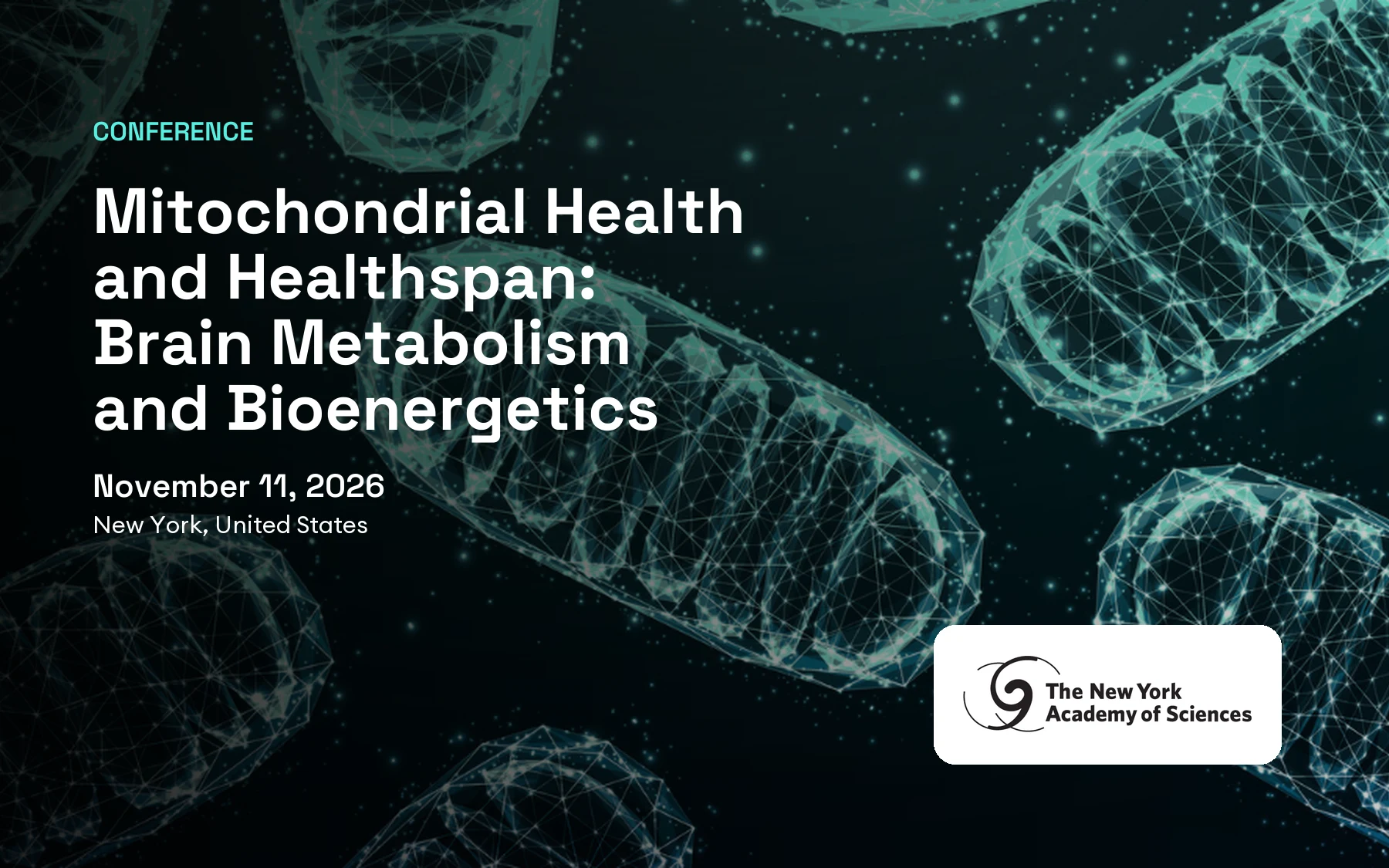 Mitochondrial Health and Healthspan: Brain Metabolism and Bioenergetics