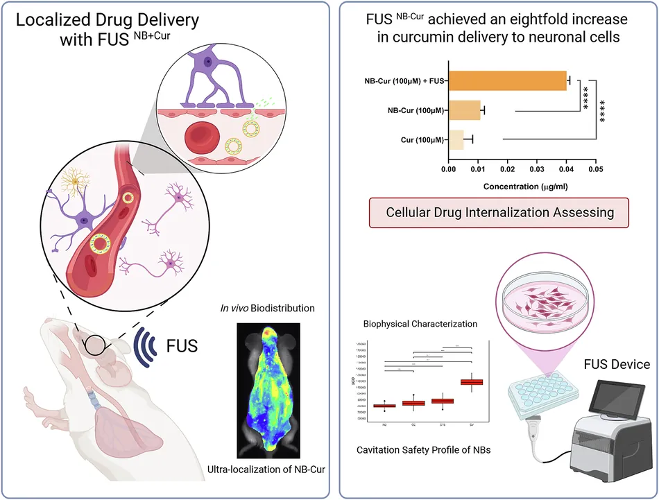 Localized brain delivery of drugs via focused ultrasound-responsive bi-layer nanobubbles