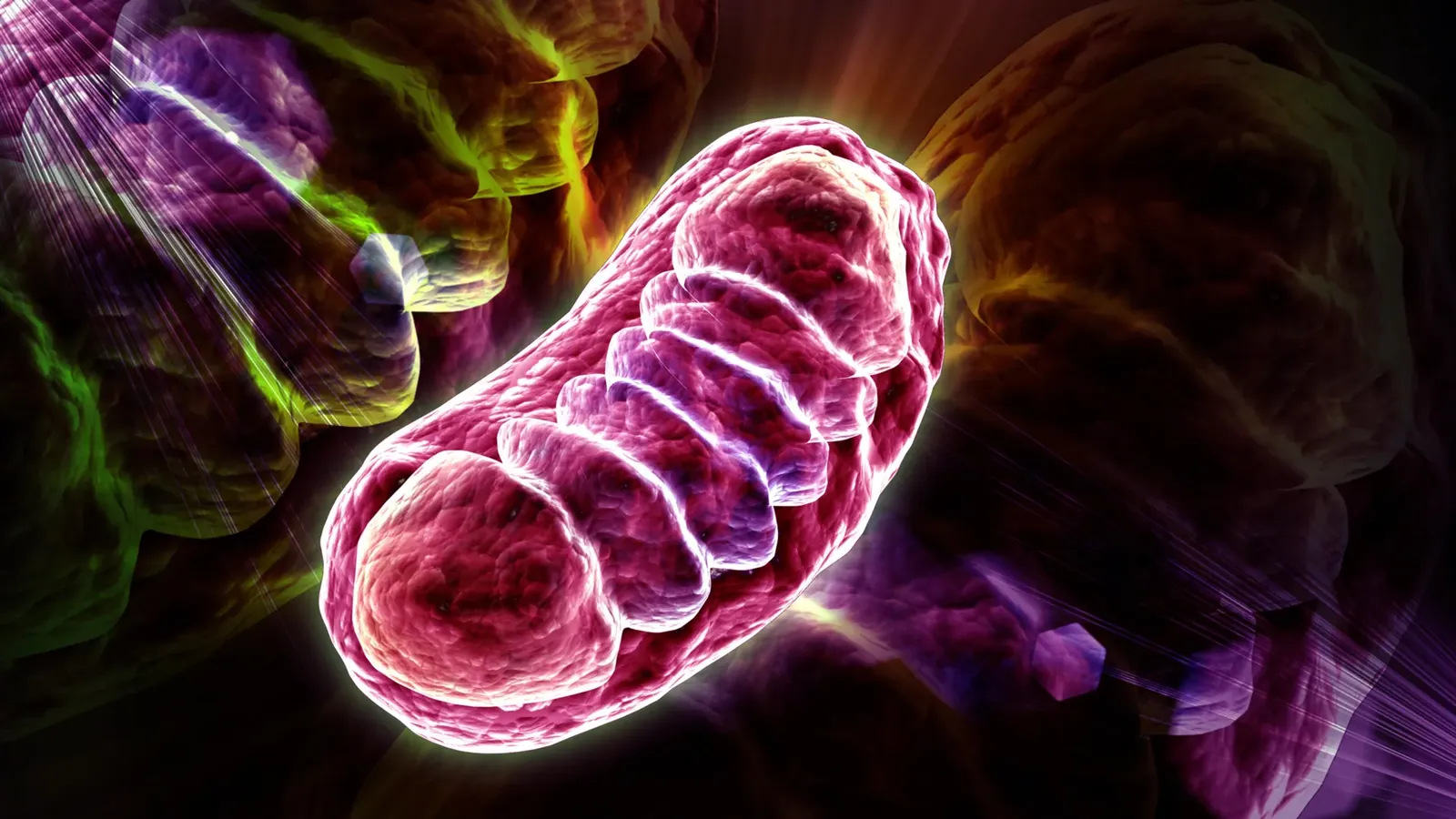 Scientists find how “zombie” cells fuel inflammation as we age
