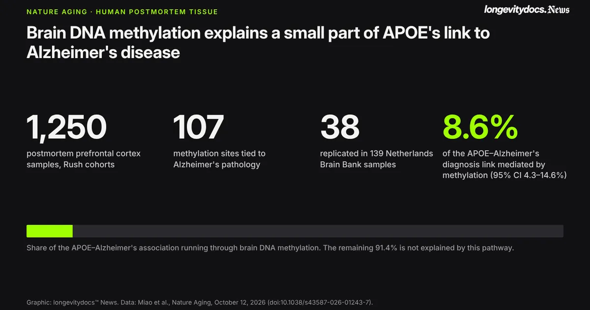 Brain methylation accounted for 8.6% of APOE's link to Alzheimer's