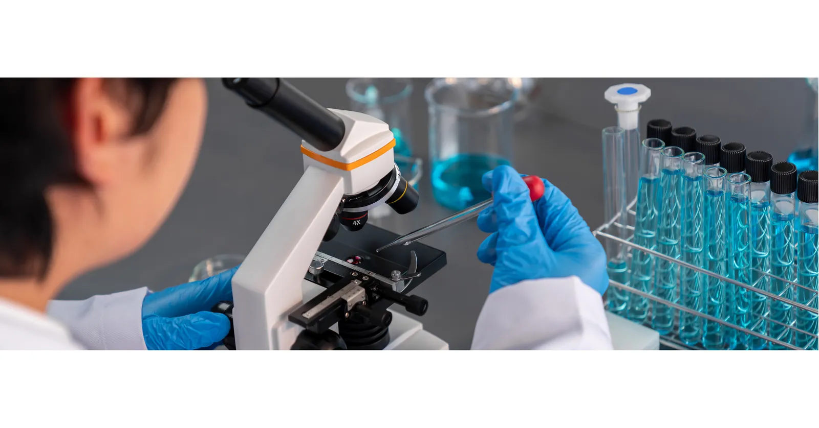 Maryland Stem Cell Research Commission Awards Over $4.8 Million in First FY2027 Funding Cycle