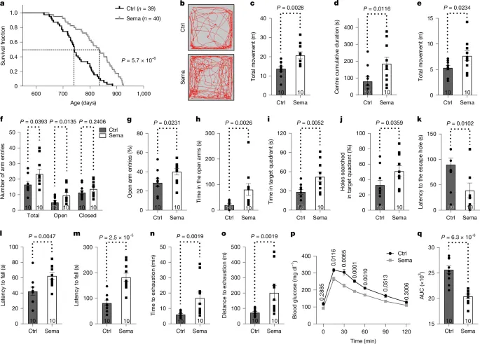Late-life semaglutide treatment slows ageing and extends lifespan in female mice - Nature