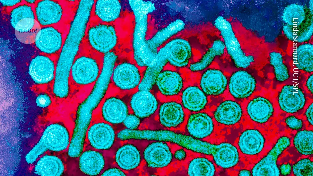 'Epigenetic' editing is here: gene-tagging technique banishes hepatitis B virus