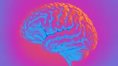 Brain fog, missed diagnoses, and lost careers: The menopause gap Cerebella wants to close