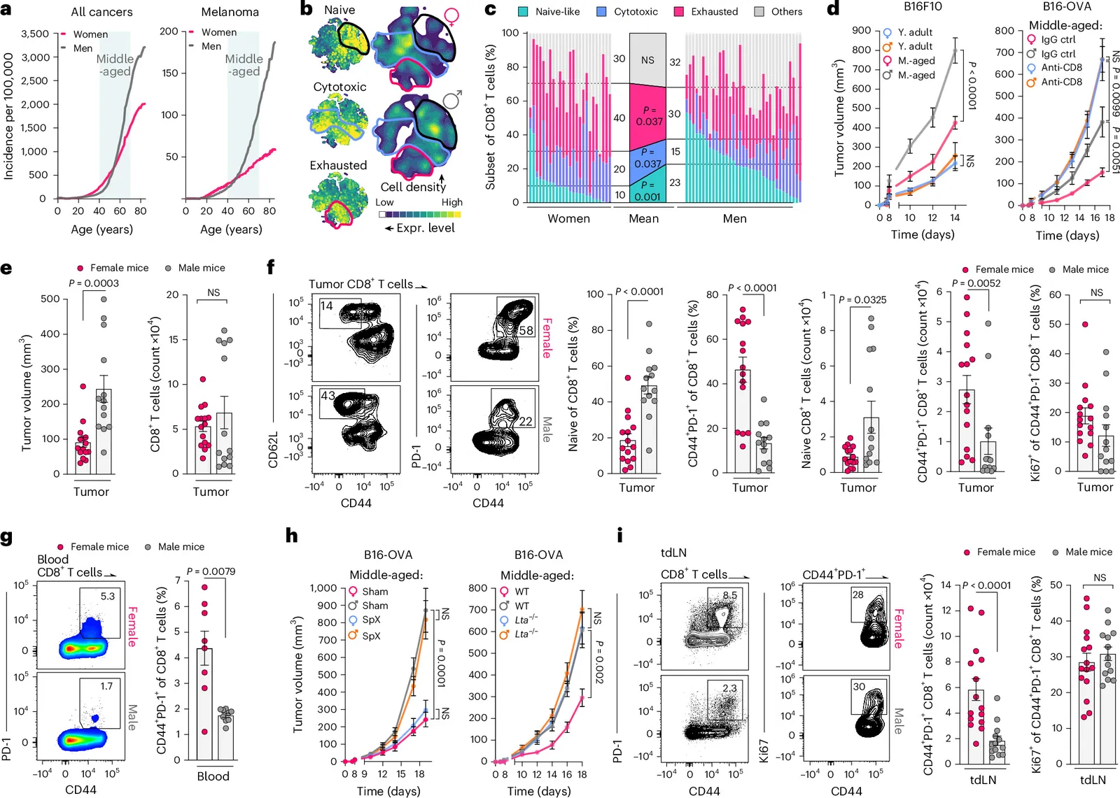 Lymph node contraction links sex-biased naive CD8 + T cell decline to compromised antigen recognition during middle age
