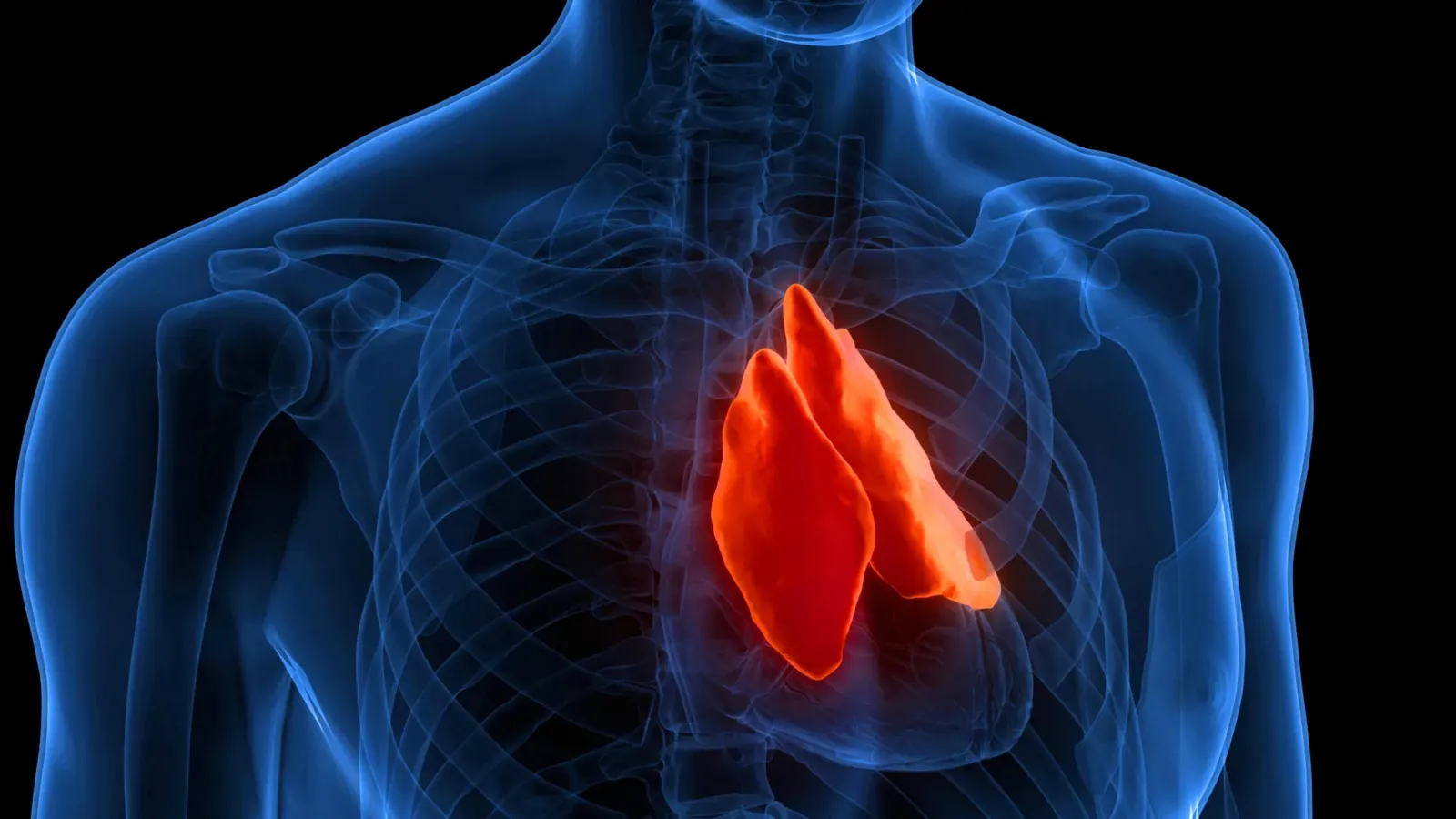 The forgotten organ that could predict how long you live (Science Daily - Health & Medicine)