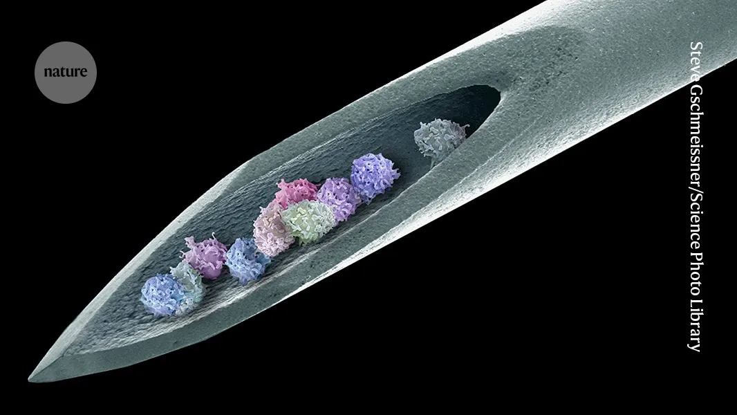 Stem cells banish severe autoimmune disease for 15 years (Nature - Main)