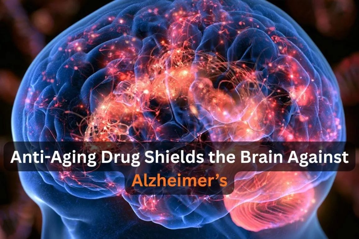 Rapamycin Boosts Brain Blood Flow in Alzheimer’s Gene Carriers