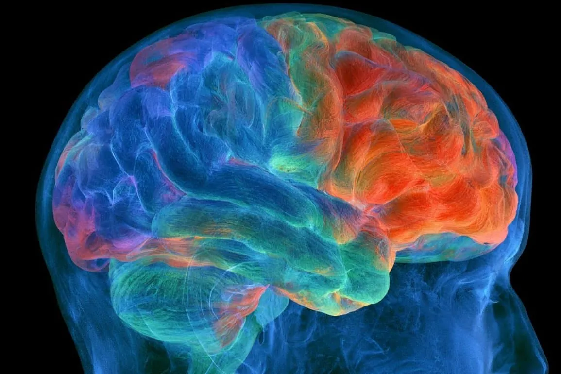 Uninjured Brain Age Holds Key to Language Recovery Following Stroke