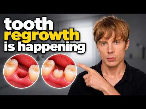 The New Tooth Regrowth Breakthrough You Need to Know About