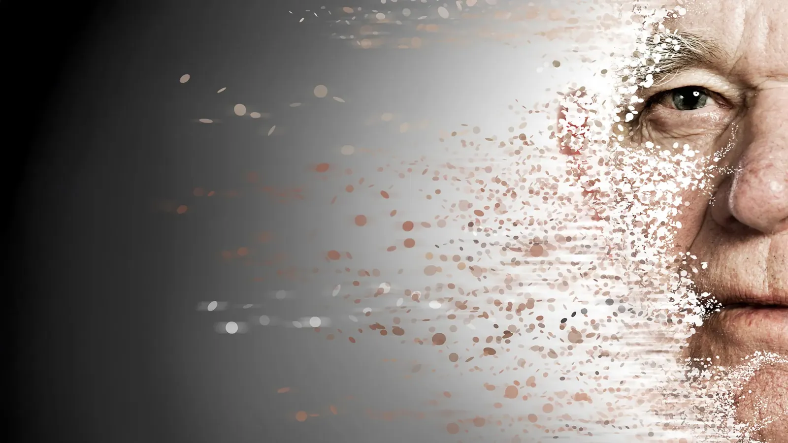 Scientists find an immune “false alarm” that may drive rapid aging