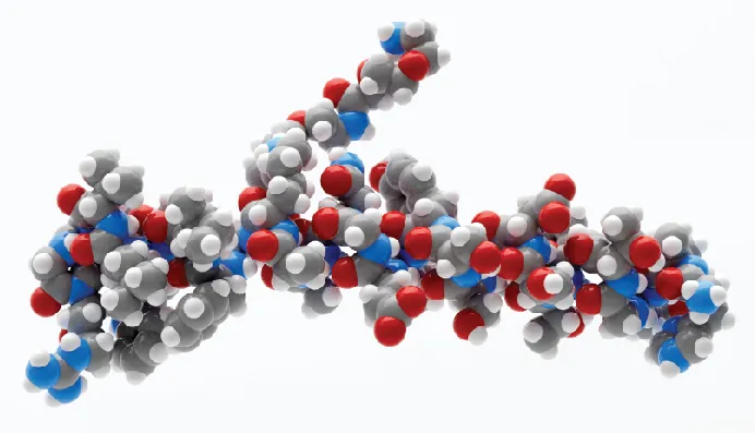 GLP-1 receptor agonism extends median lifespan in mice