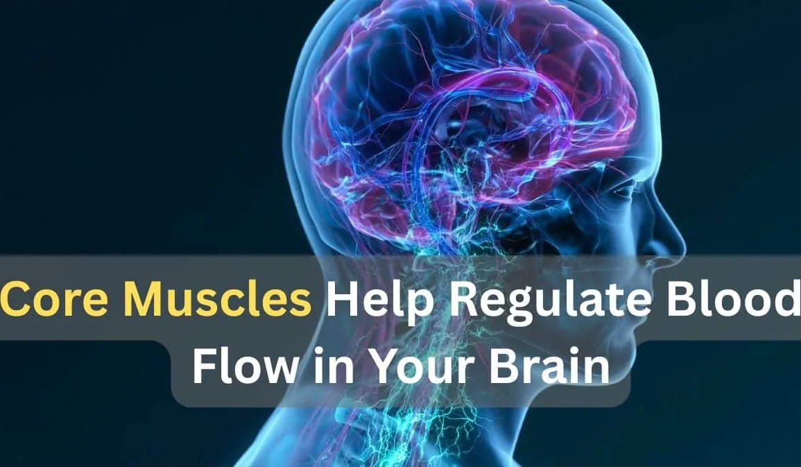 Core Contractions Drive Brain Blood Flow