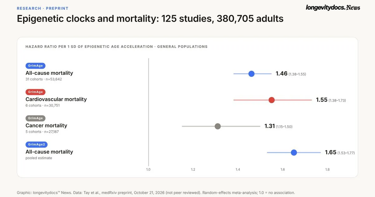 Epigenetic clocks predict mortality in 380,705 adults, meta-analysis preprint finds
