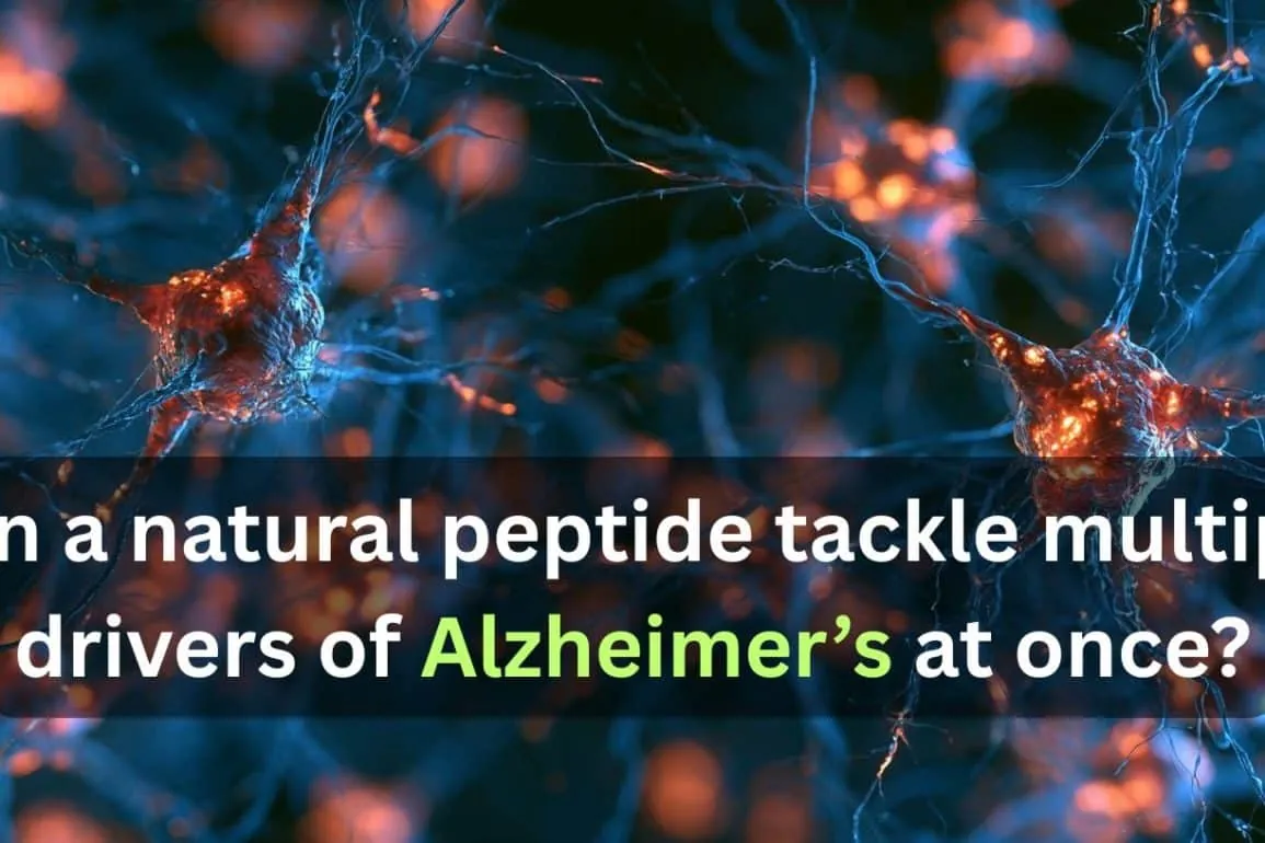 Natural Peptide Counters Multiple Hallmarks of Alzheimer’s