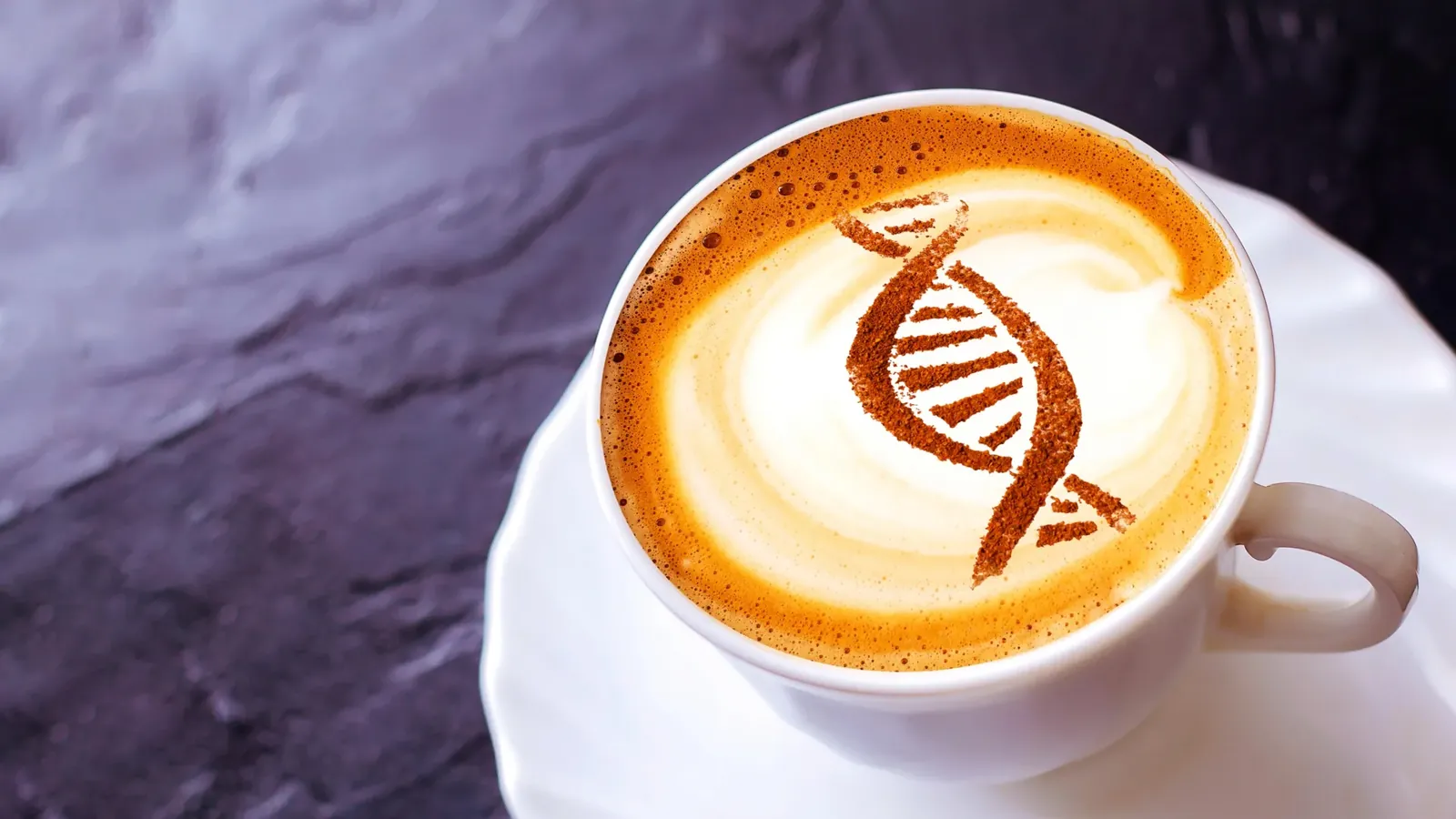 Caffeine may flip an ancient cellular switch linked to slower aging