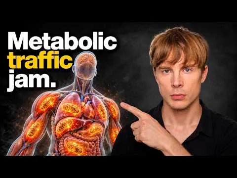 Why Your Mitochondria Are Failing (And How to Fix It)