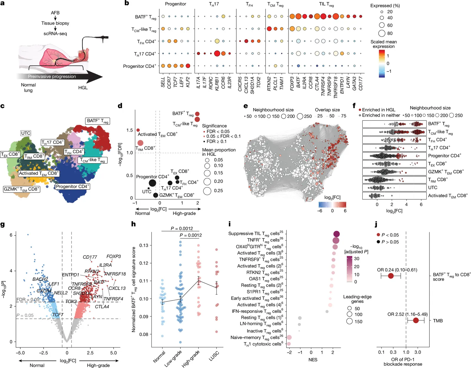 A preinvasive regulatory T cell axis for lung cancer interception