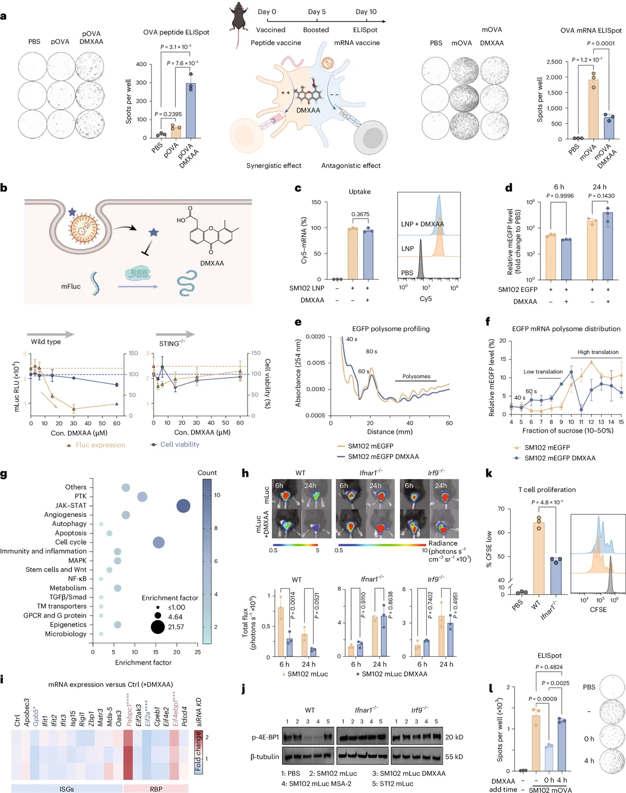 Enhanced antitumor immunity of mRNA vaccines by bioorthogonal-like delayed activation of exogeneous STING