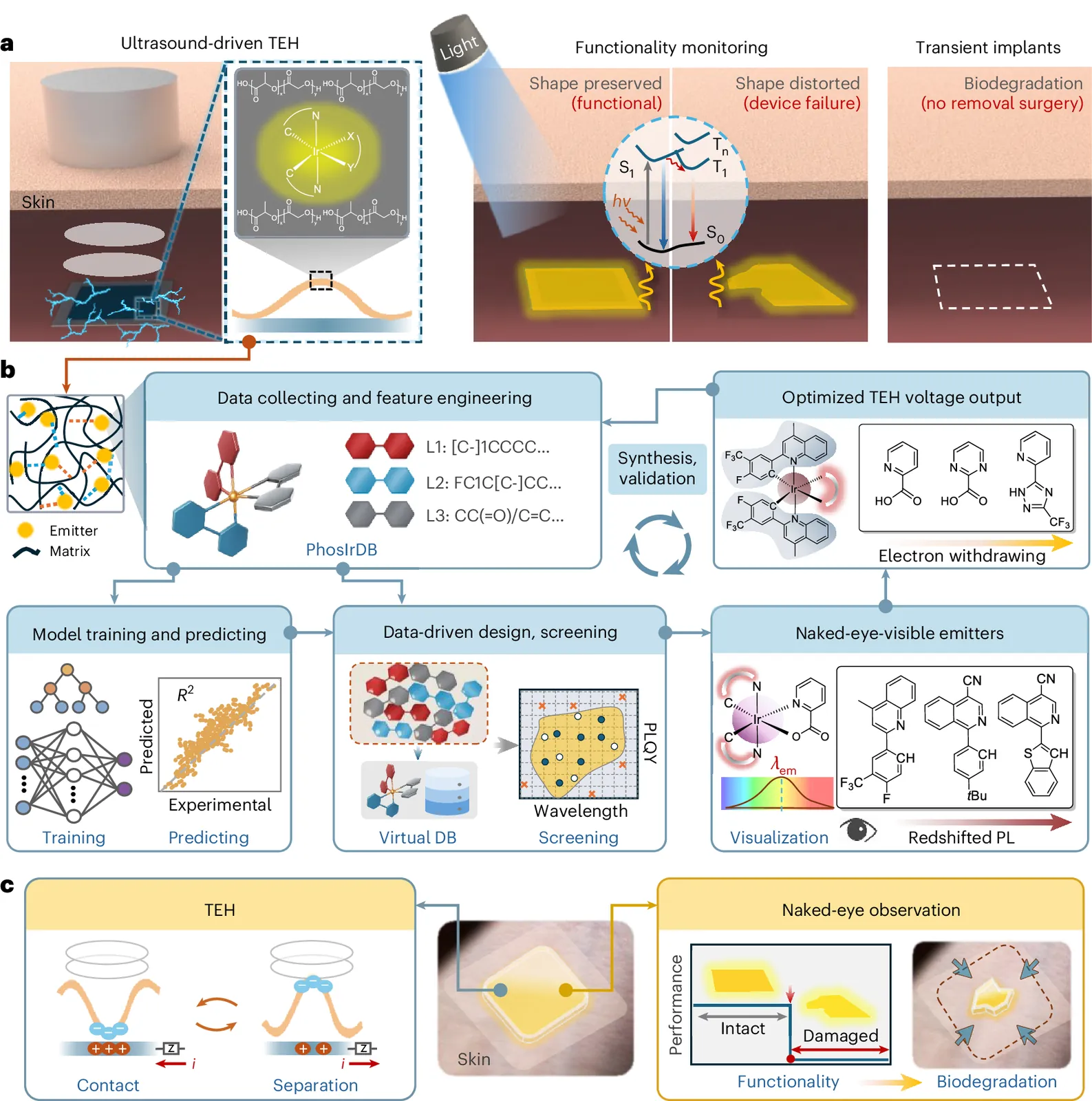 Bioresorbable and optically readable triboelectric implants enabled by nanoscale iridophosphors