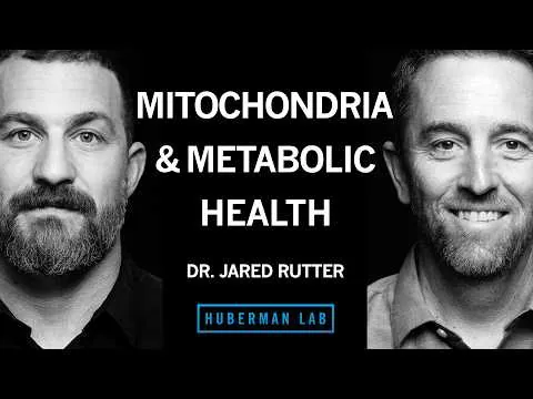 How Mitochondria Control Your Metabolism | Dr. Jared Rutter