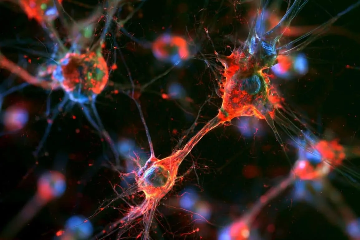 Peripheral Blood Cells Replenish Aging Human Microglia