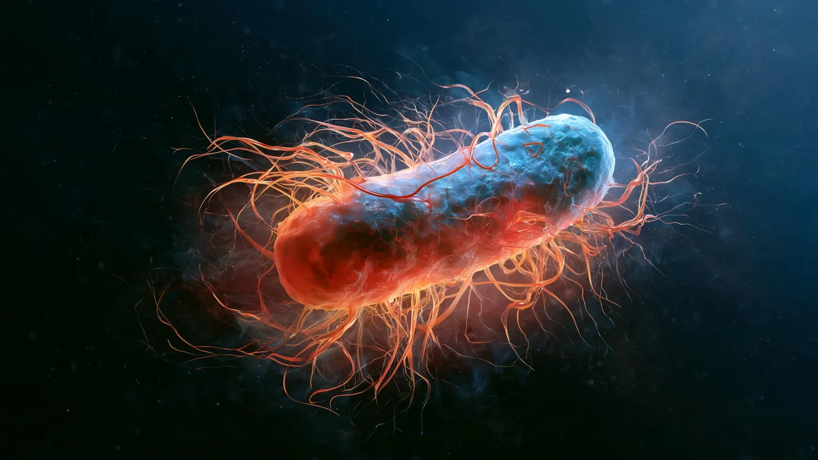 Scientists gave worms magnetic bacteria. They lived 43% longer