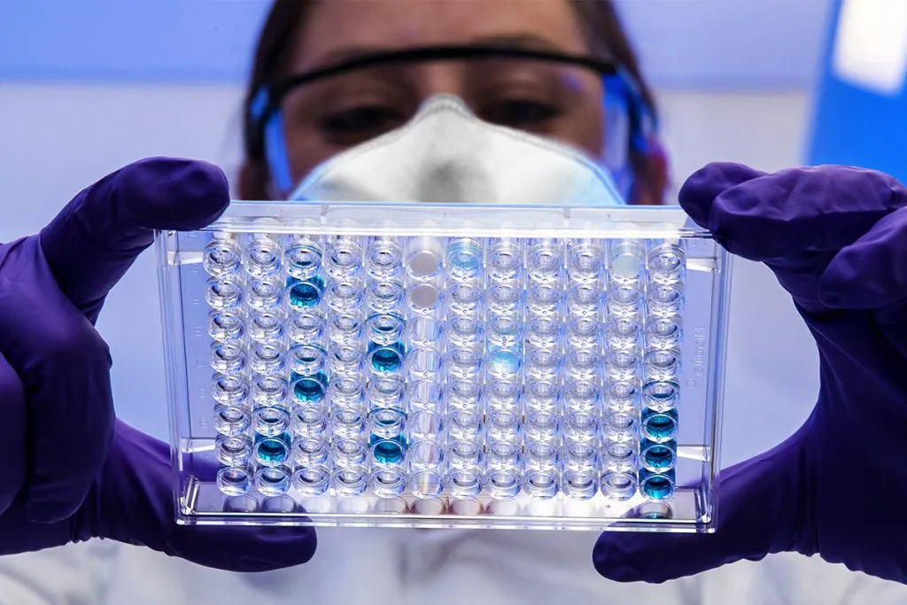 BioAge advances inflammaging drug into Phase 2