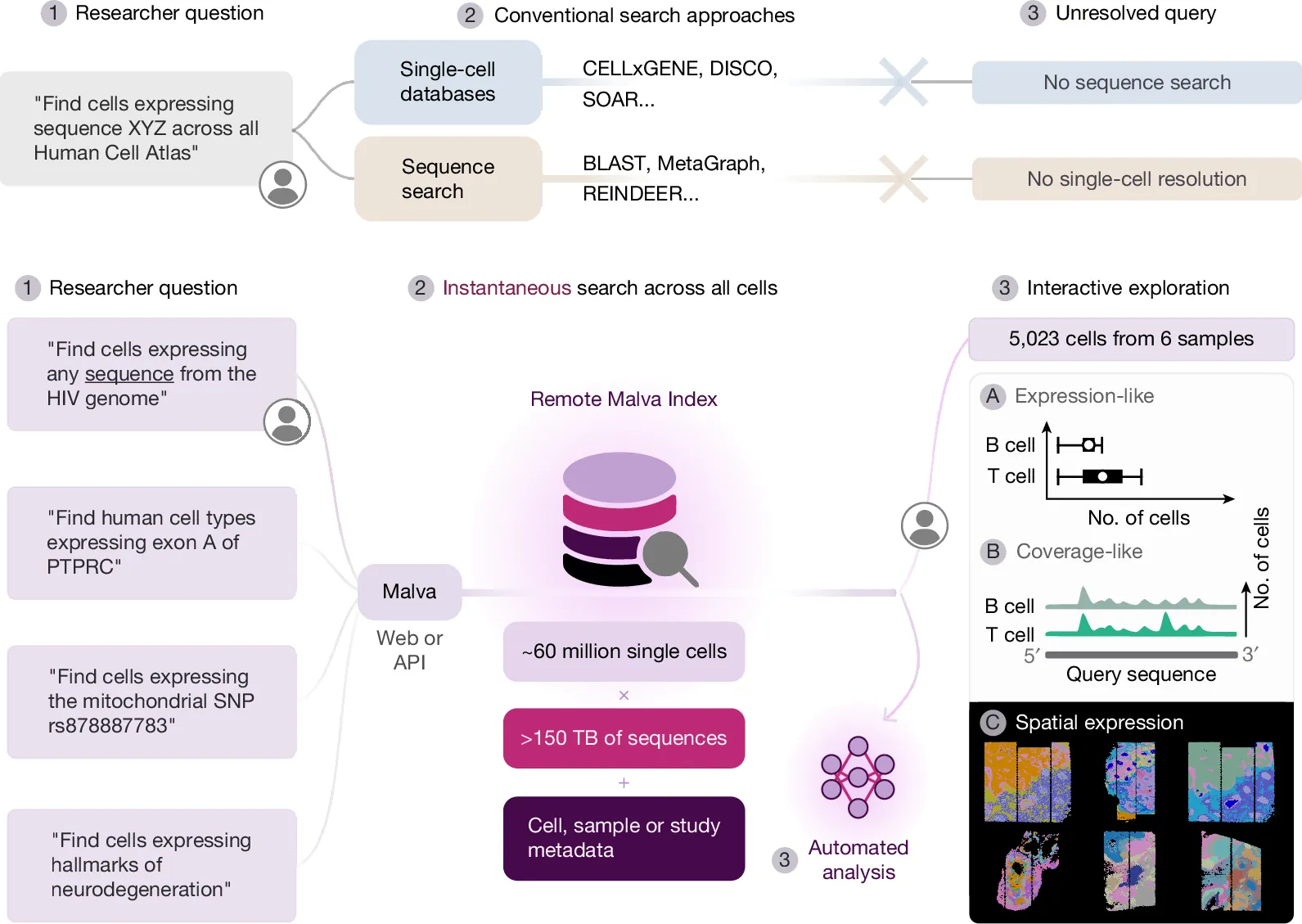 Ultrafast and reference-free sequence discovery in single-cell data