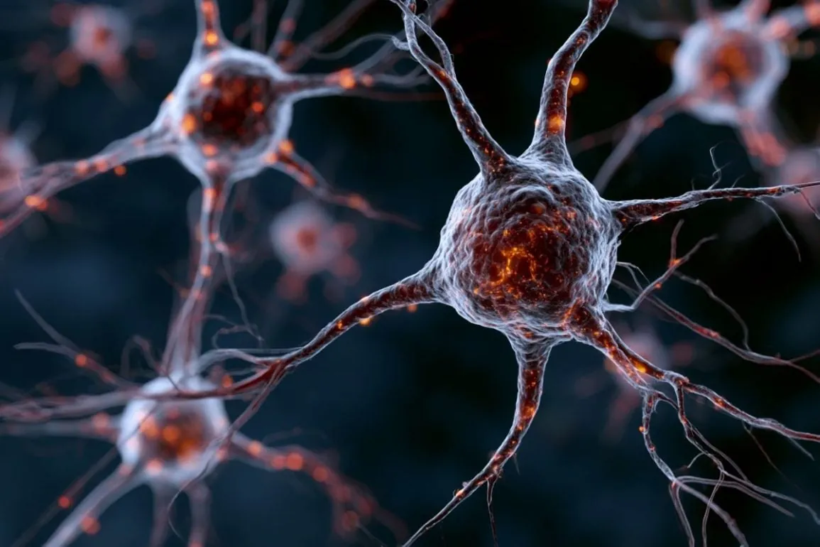 Inflammation Forces Brain Stem Cells to Halt Neurogenesis