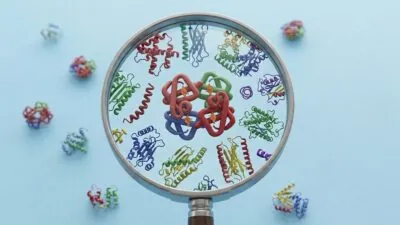 An Entirely New Target for Fighting Senescence