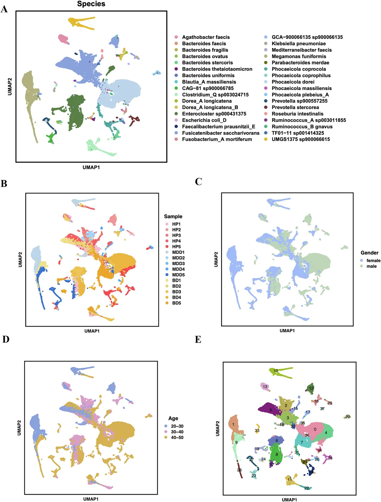 Gut single-microbe landscape in patients with major depressive disorder and bipolar disorder