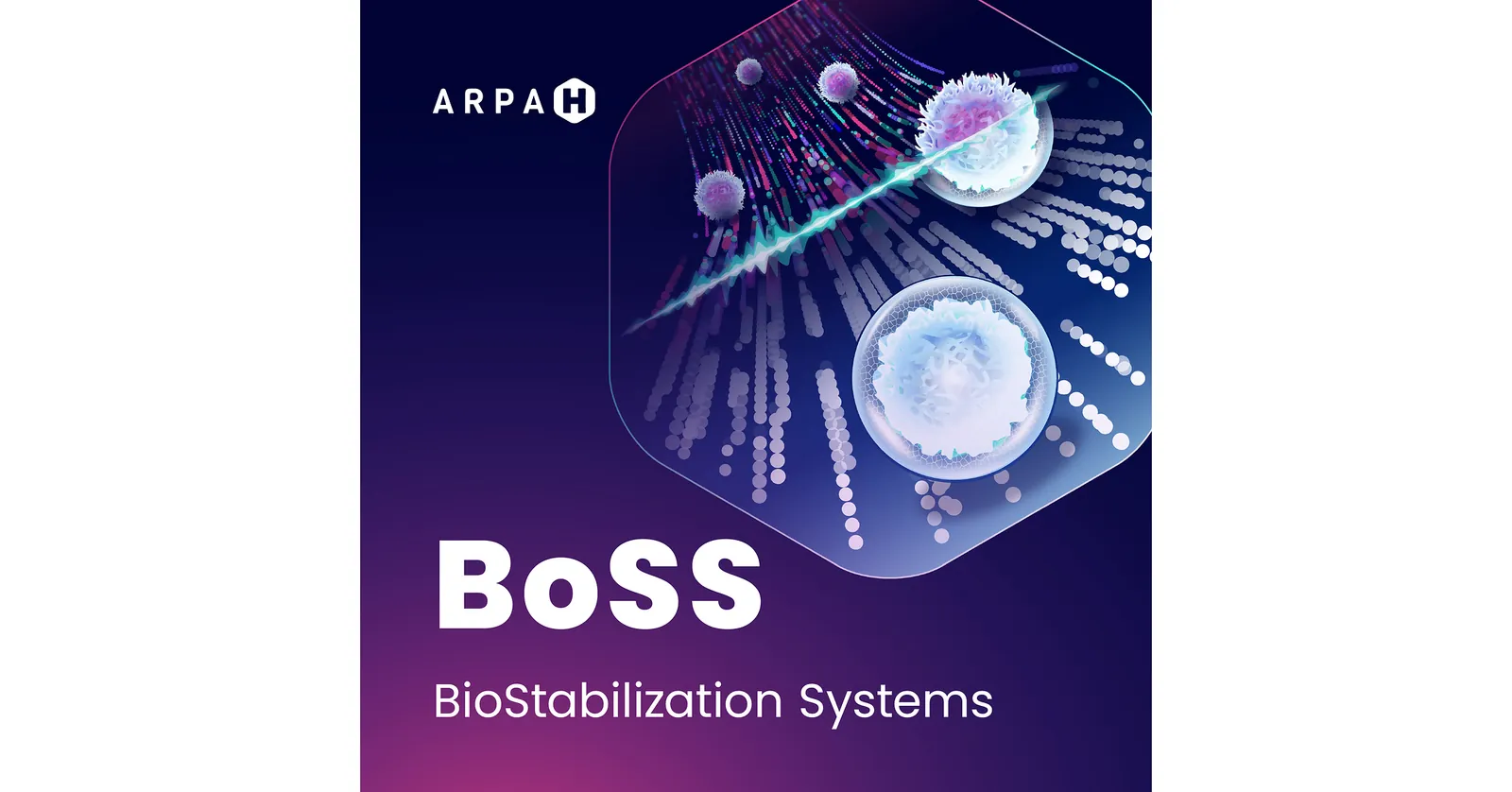 CaseBioscience® Joins Team Awarded Up to $7.3 Million by ARPA-H to Advance Ambient Preservation of Cell Therapies