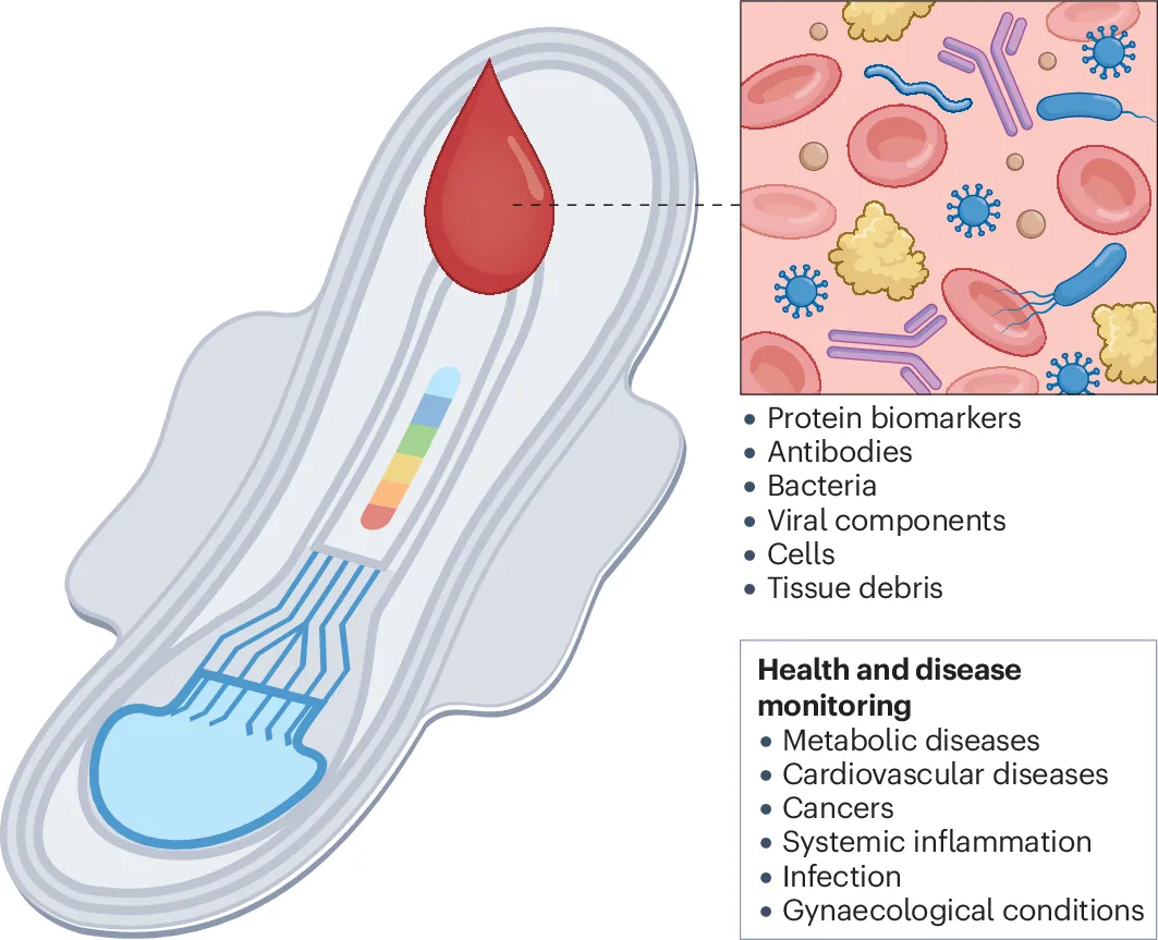 Menstrual blood for health and disease monitoring