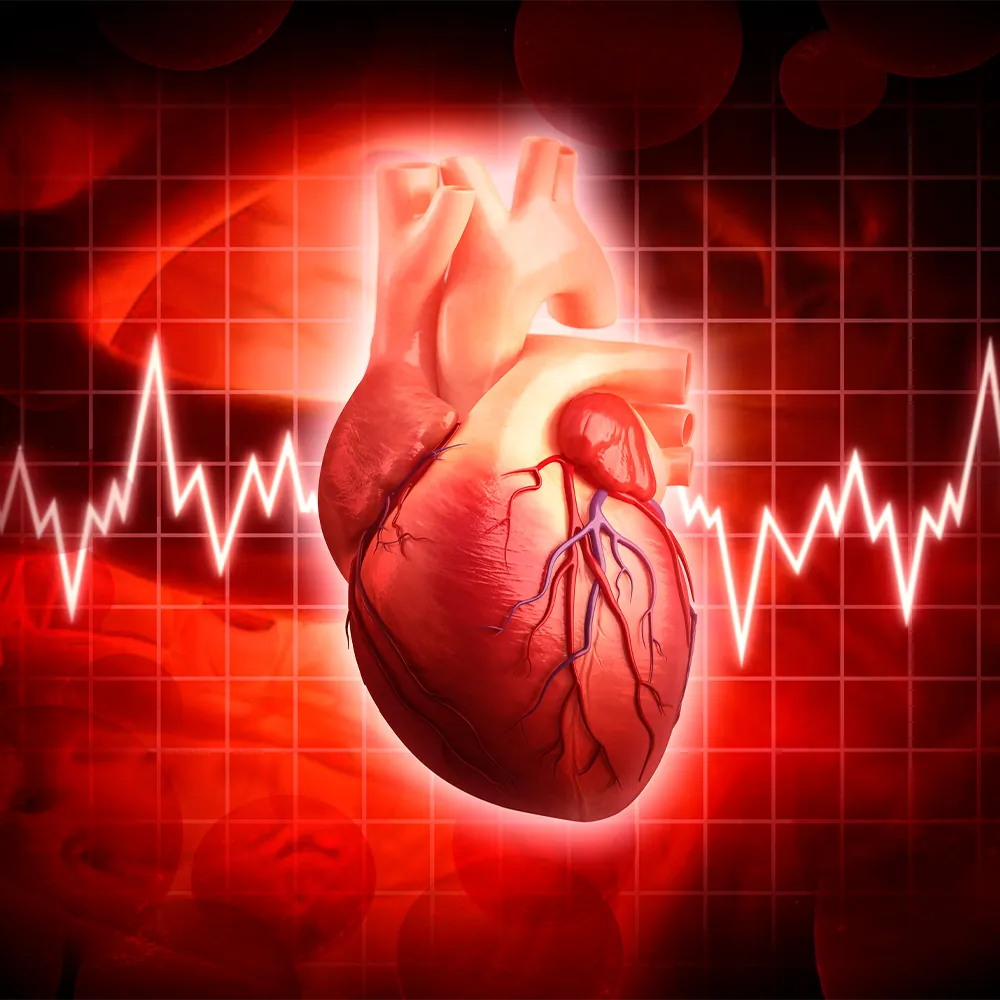 UTSW Research: Heart failure, diet’s impact on aging, and MS drugs: Newsroom - UT Southwestern, Dallas, Texas