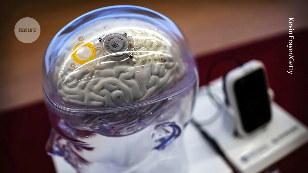 ‘Multifunctional’ brain implant translates speech and gestures in real time