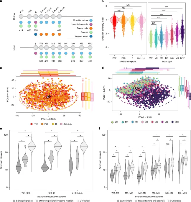 Maternal influences on infant gut microbiome and health - Nature